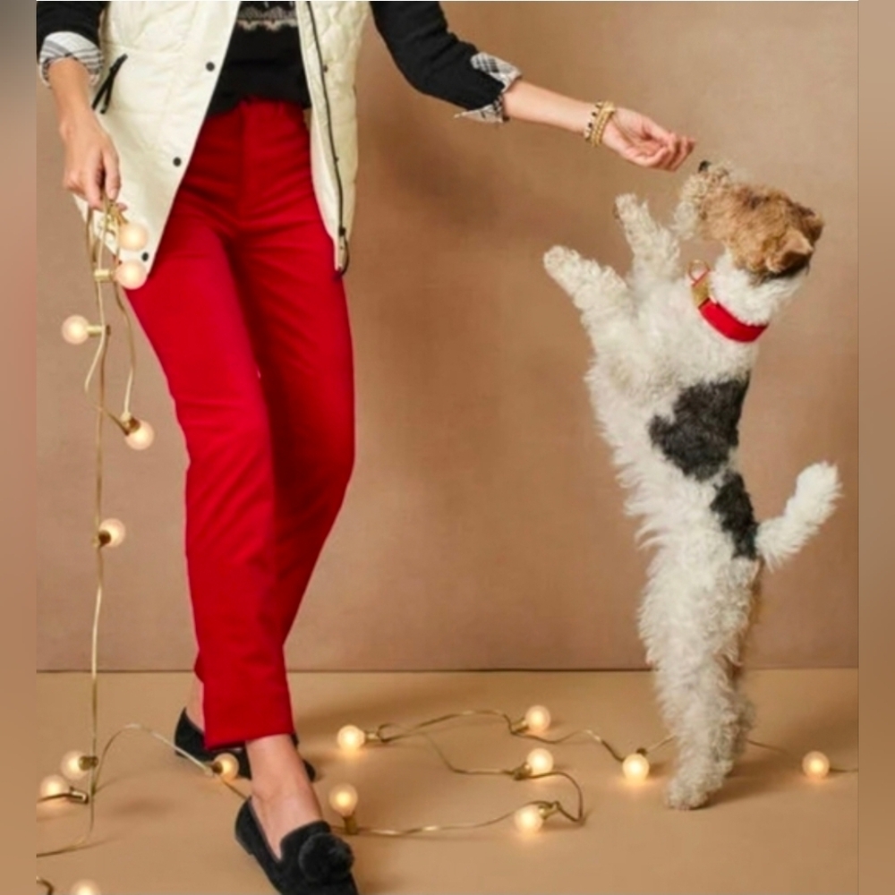 *final price* Talbots "Velveteen Straight Leg Pant" red sz 18